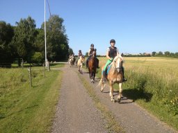 img_1492_web